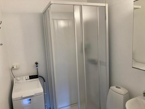 une salle de bain avec une douche, des toilettes et un lavabo dans l'établissement Lilla Halängen cottages, Mormors hus, à Dalskog