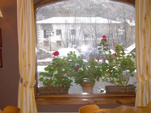 una finestra con due piante in vaso e neve di Hotel Cosgaya a Cosgaya