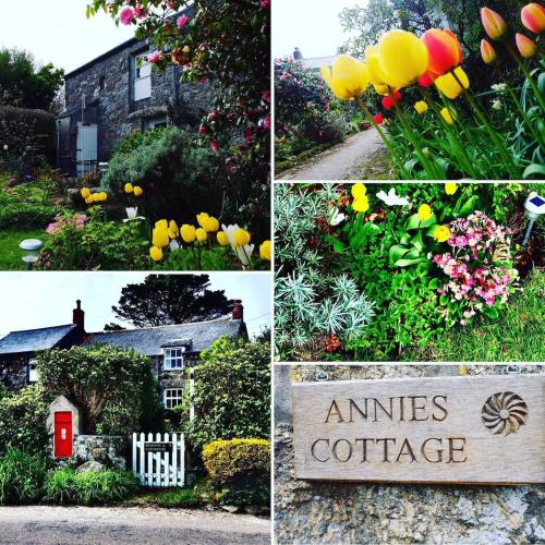 a collage of pictures of a house and flowers at Annie's Cottage - 3 miles from the iconic Minack Theatre in Saint Buryan