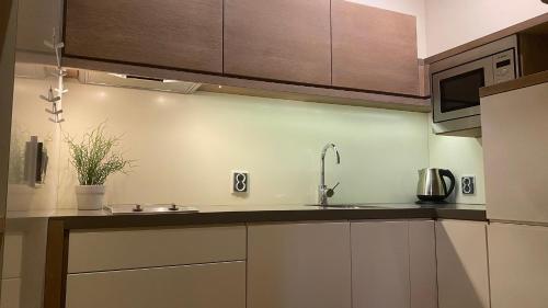 a kitchen with a sink and a microwave at Apartmán v Beskydech in Dolní Lomná