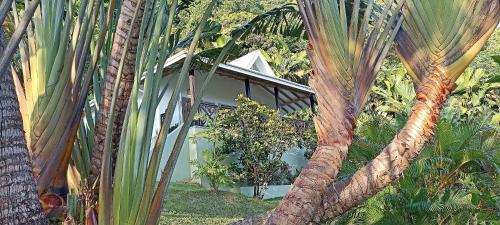 Jardín al aire libre en Amuse Bush Villa