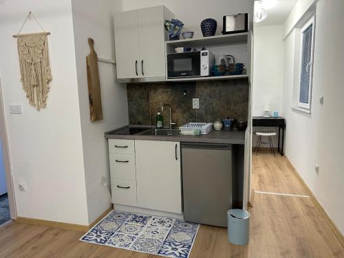 eine Küche mit Spüle und Arbeitsplatte in der Unterkunft Mamma Mia in Skopje
