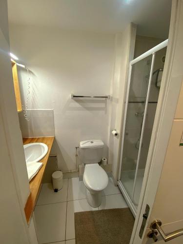 a bathroom with a toilet and a sink and a shower at Hôtel Le Chambellan in Dijon