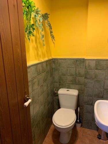 Spanglish Hostel Benidorm photo 41