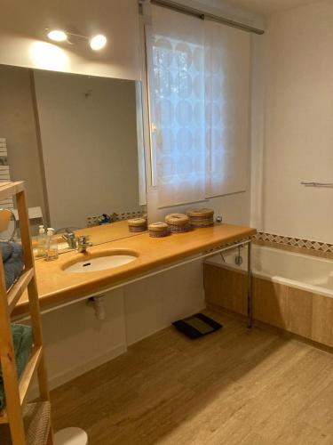 une salle de bain avec un lavabo, un miroir et une baignoire dans l'établissement Maison en bord de garrigue, à Villeneuve-lès-Avignon