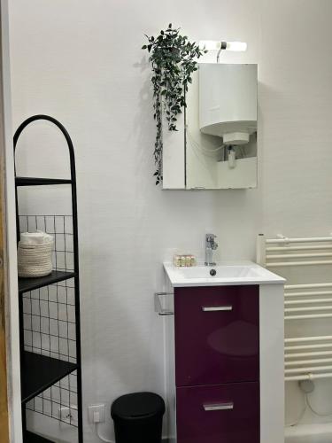La salle de bains est pourvue d'un lavabo violet et d'un miroir. dans l'établissement Charmant appartement au Centre-ville de Dijon, à Dijon
