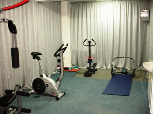 a gym with two exercise bikes and a sink at Villa-Hotel Escala in Cluj-Napoca