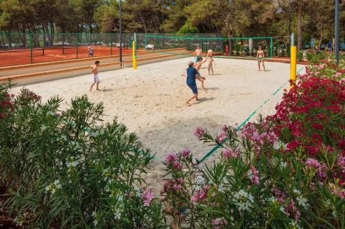 a group of people playing volley ball on a volleyball court at Happy Camp Mobile Homes in Valamar Camping Lanterna in Poreč