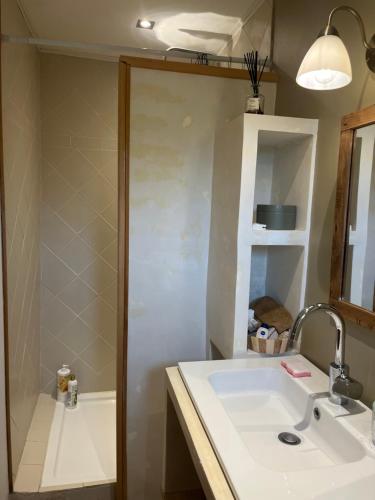 a bathroom with a sink and a shower at Cocon des 2 lacs in Étercy