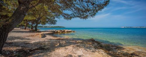 a beach with a tree and the water at Happy Camp Mobile Homes in Valamar Camping Lanterna in Poreč