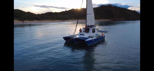 Naturlandskabet i nærheden af båden