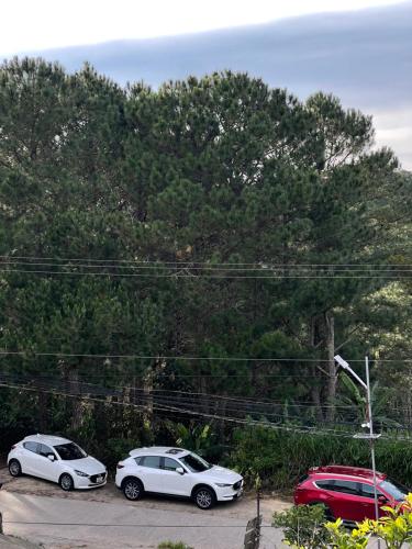 three cars parked in a parking lot next to trees at Hùng Nam House in Khu Chi Lăng