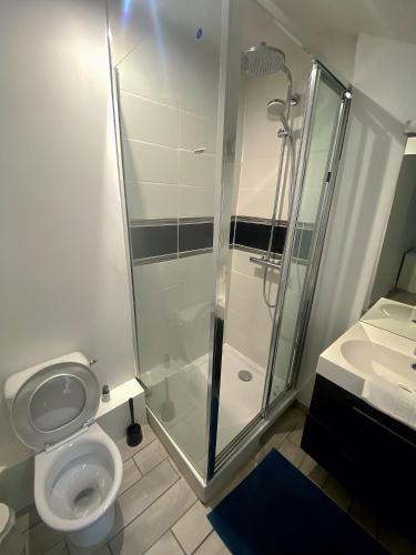 a bathroom with a shower and a toilet and a sink at Hôtel Le Chambellan in Dijon
