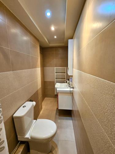 a bathroom with a toilet and a sink at Lilian Luxury Villa Halkidiki in Nea Fokea
