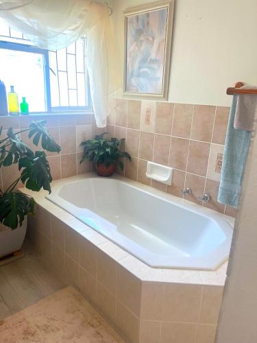 a large white tub in a bathroom with a plant at Cape Town Explorer's Rest in Meadowridge