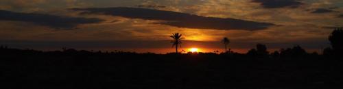 a sunset with a palm tree in a field at Chez Kossai Atlas Farm in Chtawna