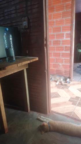 Foto de la galeria de casa del davi a Asunción