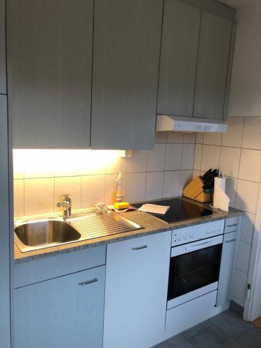 a kitchen with white cabinets and a sink at Big studio city center - Marble 5 in Zurich