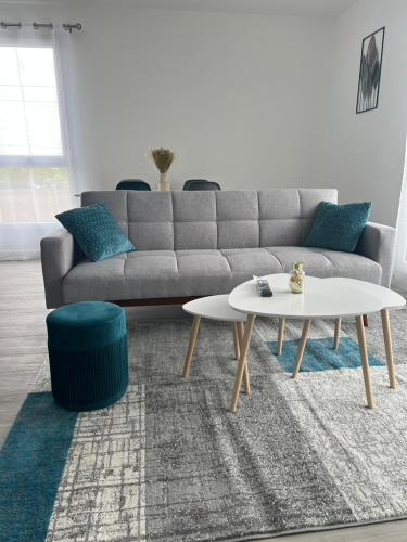 Logement Spacieux A 2 Chambres, Acces Facile Aeroport CDG et Paris