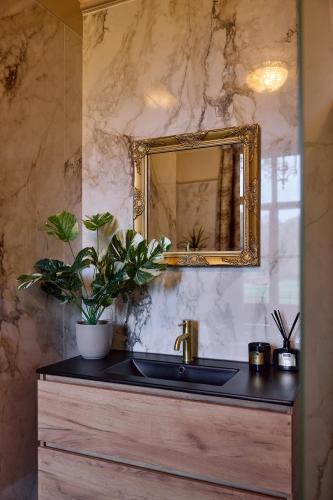 a bathroom with a sink and a mirror at Wellnessresort & Hotel De Valkenberg in Rheden