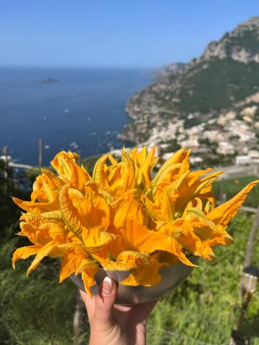 a person holding a bowl filled with yellow flowers at Colle dell'Ara in Positano