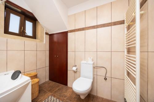 a bathroom with a toilet and a sink at Villa Hara Faragi in Giannoudi