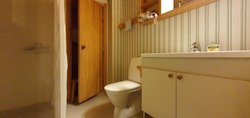 a bathroom with a toilet and a sink at Sauna | Wi-Fi | Terrace | Wood stove | Cable TV in Lofsdalen