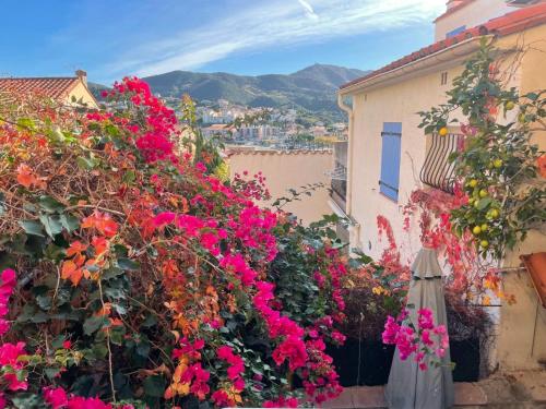 Appartement Charmant T2