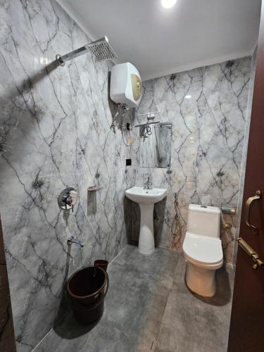 a bathroom with a toilet and a sink at Hotel Tara Palace Darjeeling in Darjeeling