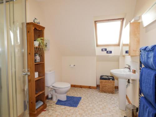 a bathroom with a toilet and a sink at Bruach Gorm Cottage in Grantown on Spey