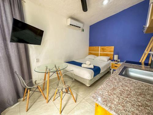 TV a/nebo společenská místnost v ubytování Hermoso loft en colonia campestre para 2 personas