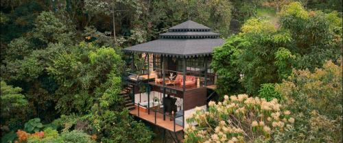 an aerial view of a tree house in the forest at GreenOriental Resort in La Vega