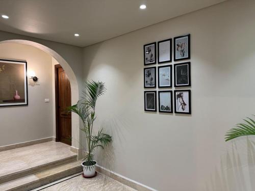 Fotografie z fotogalerie ubytování 77 by Spacey #19 - Studio in Maadi v Káhiře
