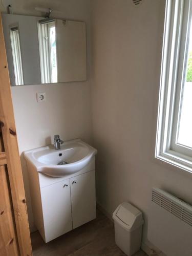a bathroom with a sink and a mirror and a toilet at Sari in Steendam