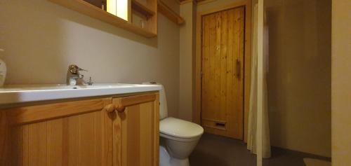 a bathroom with a white sink and a toilet at Sauna | Wi-Fi | Terrace | Wood stove | Cable TV in Lofsdalen