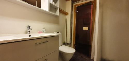 a bathroom with a white sink and a toilet at Sauna | Wi-Fi | Terrace | Wood stove | Cable TV in Lofsdalen