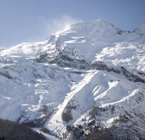 a mountain covered in snow with trees on it at Navigare Resorts in Saas-Fee