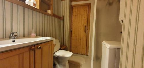Un baño pequeño con inodoro y lavabo. en Sauna | Wi-Fi | Terrace | Wood stove | Cable TV, en Lofsdalen