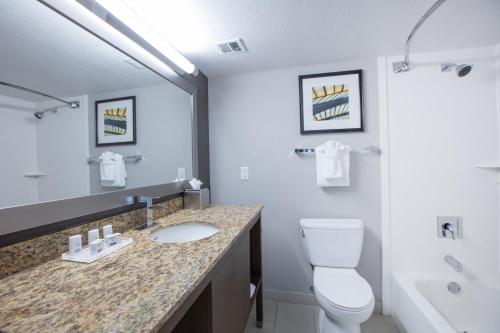 a bathroom with a toilet and a sink and a mirror at Holiday Inn St Louis SW - Route 66 by IHG in Saint Louis
