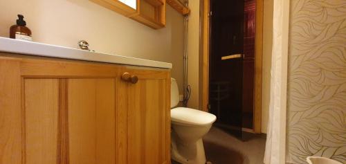 a bathroom with a toilet and a sink at Sauna | Wi-Fi | Terrace | Wood stove | Cable TV in Lofsdalen