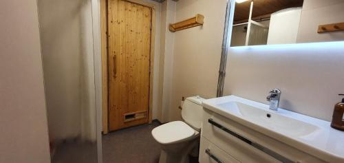 a bathroom with a white toilet and a sink at Sauna | Wi-Fi | Terrace | Wood stove | Cable TV in Lofsdalen
