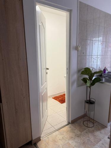 a bathroom with a white door and a plant at Apartament Someseni in Cluj-Napoca