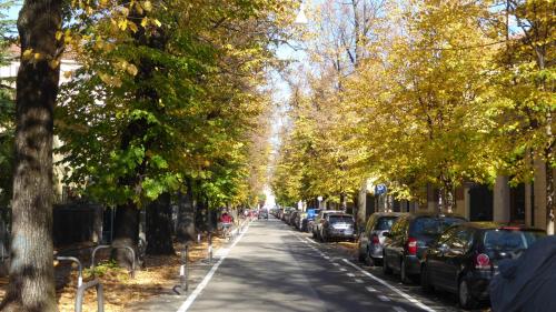 a tree lined street with cars parked on it at B&B Al Santo in Padova