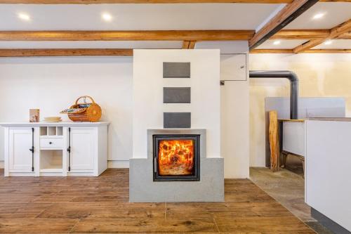 a fireplace in the middle of a room at Living on a animal sanctuary in Schönenberg
