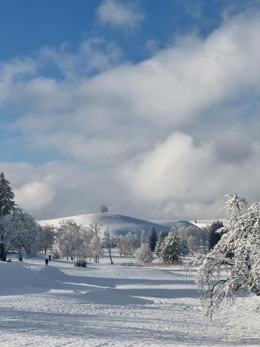 a snow covered field with a mountain in the background at Living on a animal sanctuary in Schönenberg
