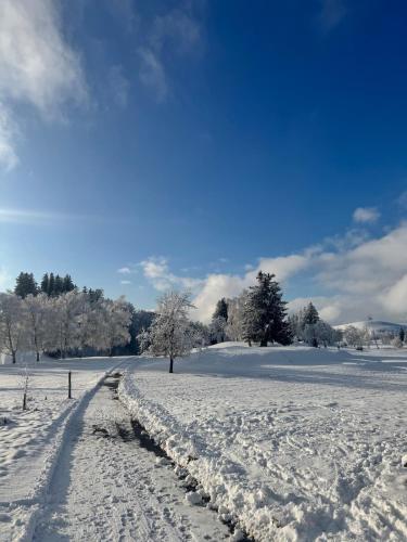 a snow covered field with a path in a field at Living on a animal sanctuary in Schönenberg