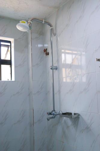 a shower with a glass door in a bathroom at Oltotoi Suites in Lukenya