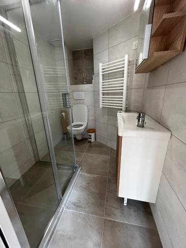 une salle de bain avec une douche, des toilettes et un lavabo dans l'établissement Cosy Studio Climatisé en plein cœur de Nice, à Nice