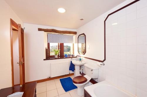a bathroom with a toilet and a sink and a mirror at Canny Brow Barn in Kendal