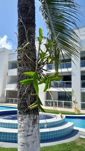 Bazén v ubytování Cobertura duplex à beira-mar com jacuzzi e cascata nebo v jeho okolí